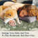 Goldene Boho Animal Washable Living Room Area Rugs, Soft Rugs for Bedroom, Boho Non Slip Carpet