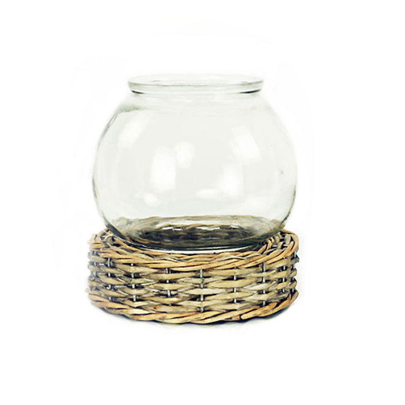 Terrarium à mèche et à verre Blevens, H 7,5 po x l 7 po x P 7 po