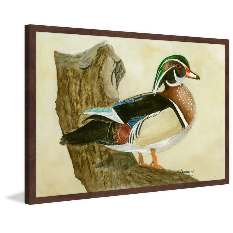 « wood duck », reproduction de peinture à l’aquarelle encadrée, H 12 po x l 18 po x P 1,5 po