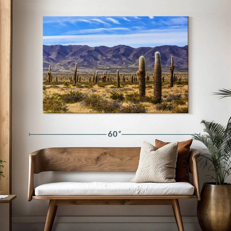 Los Cardones Cactus