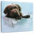 Brampt Beau The Dog-109227720