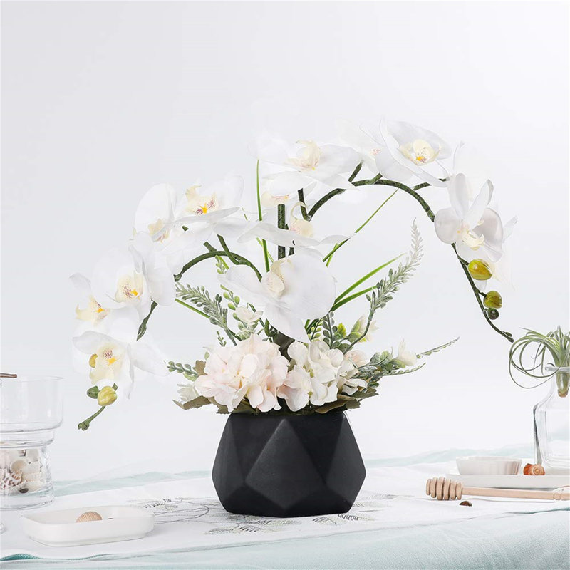 Roudy Arrangement, Black