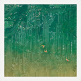 Swim Circuit 1 Print by Thom Filicia