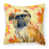 Brussels Griffon