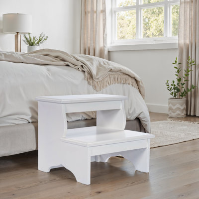 Ashvir 2 - Step Lightweight Folding Step Stool