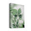 « Fields of Green II », reproduction de photo sur toile tendue-66399159