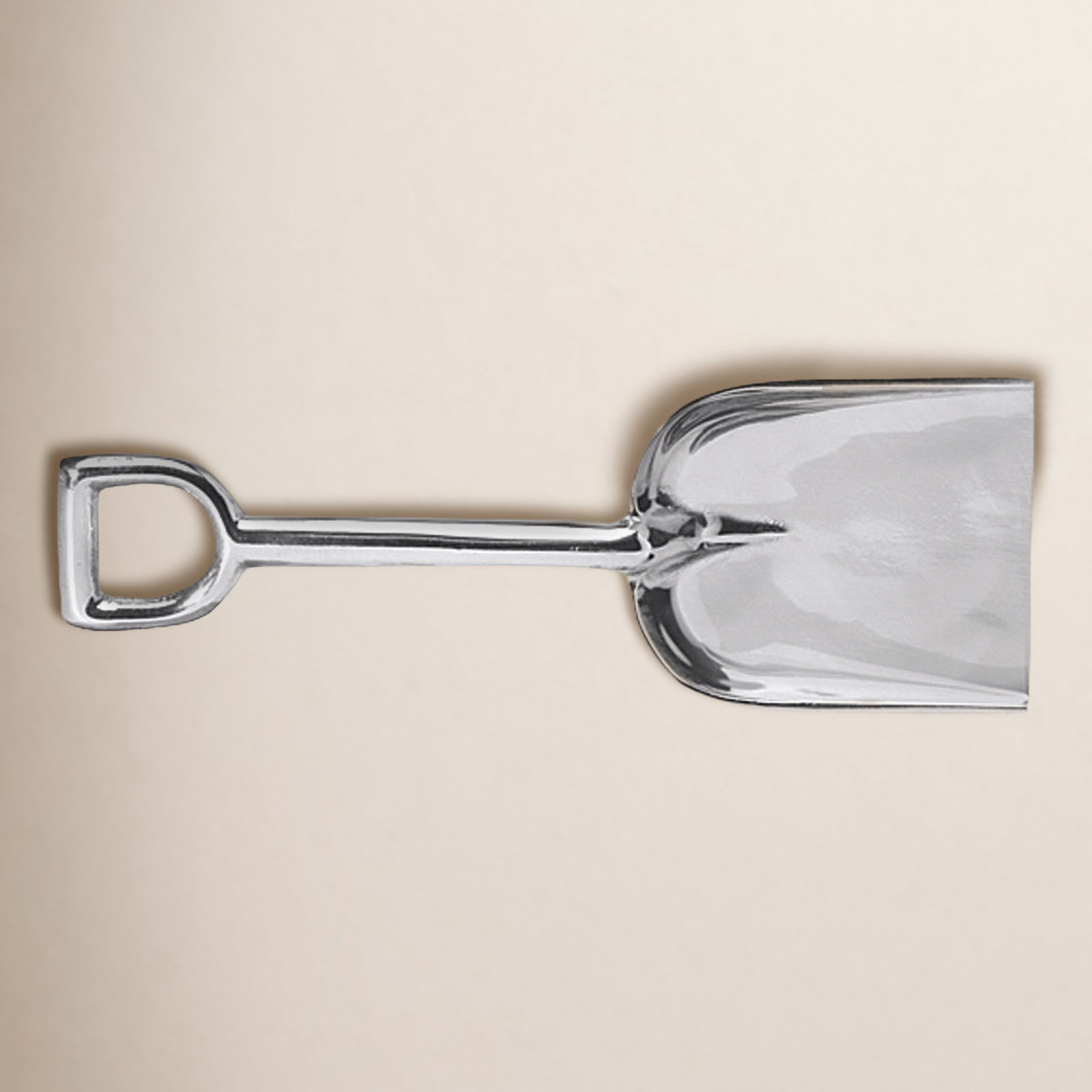 Seaside Serving Spoon