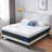 Alwyn Home Tattnall 14" Firm Gel Memory Foam Mattress-144813424