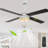 Kahliel 52" Industrial 4-Light Caged Ceiling Fan with Lights and Remote, 6-Speed Reversible Ceiling Fan-507656236-507768121