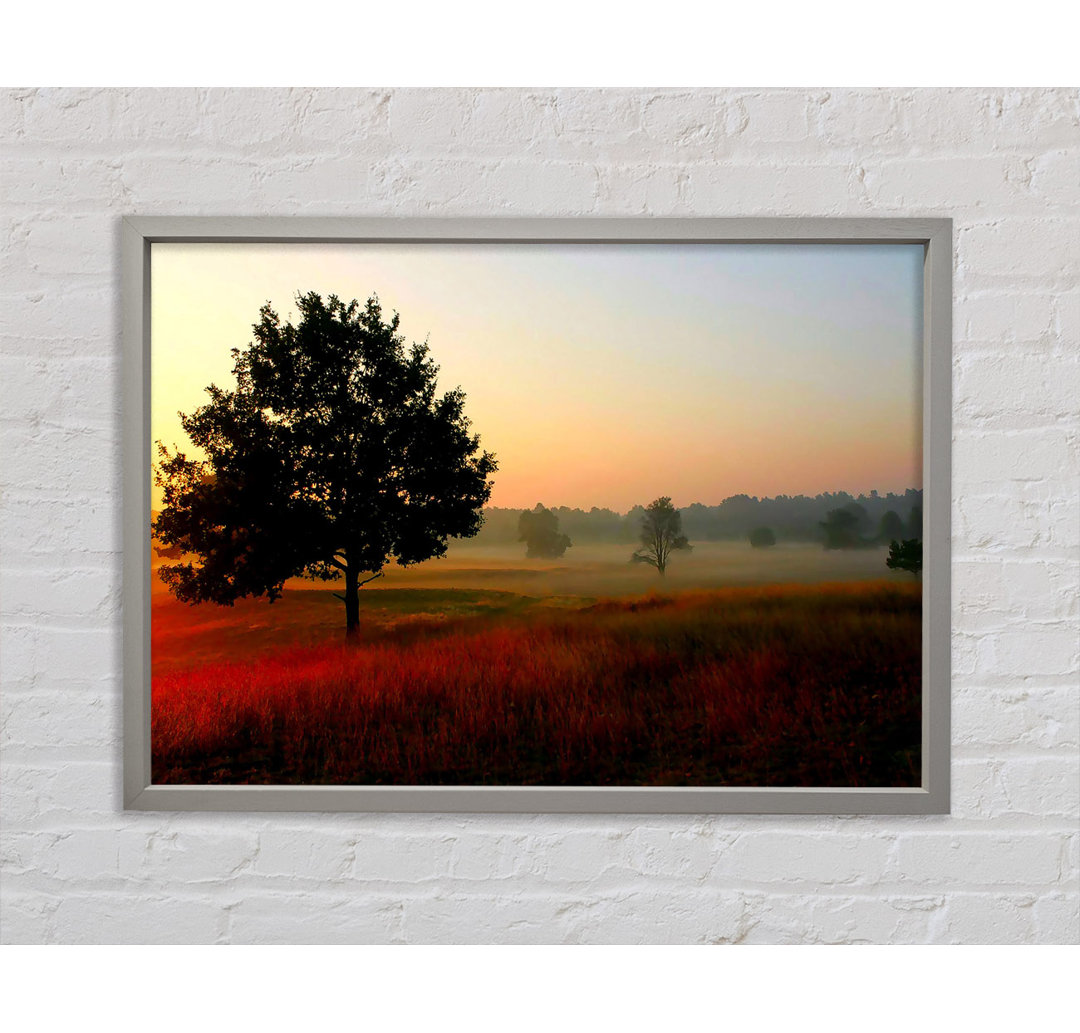 Herbstsonnenaufgang Baum im Nebel - Einzelbildrahmen Kunstdrucke auf Leinwand