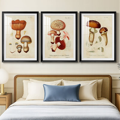 Champignon Variétés I - Impression sur mesure encadrée de qualité supérieure - 3 pièces