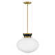 Lucy Medium 1-Light Two-Tone Pendant with Cased Opal Glass
