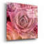 «Succulents 04» par Lightbox Journal-844236445