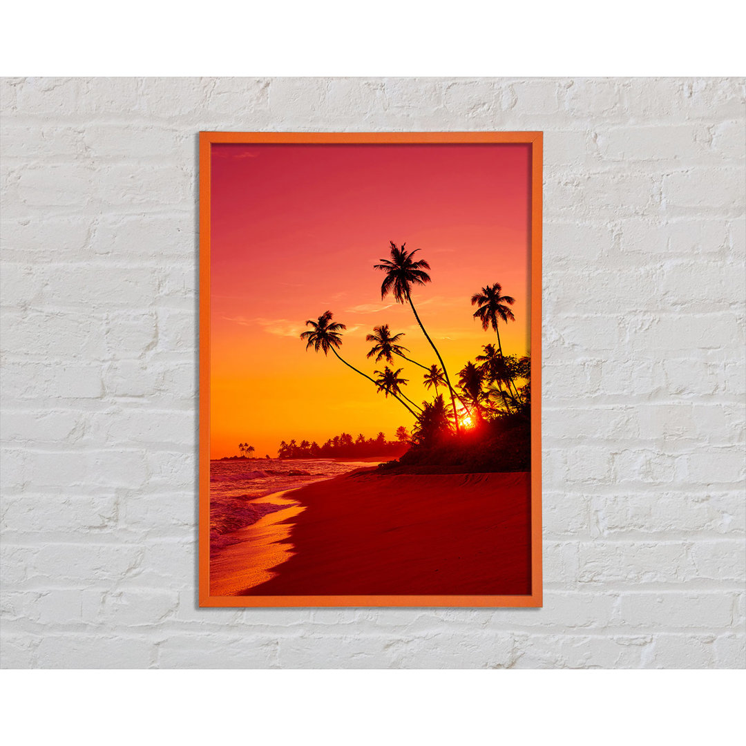 Barina As the Sun Sets Under the Palm Trees - Einzelbildrahmen Kunstdrucke