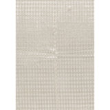 Area Rug in Beige