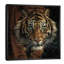 Eye Of The Tiger, Square by Collin Bogle - Painting on Canvas-1448519394-1469376969