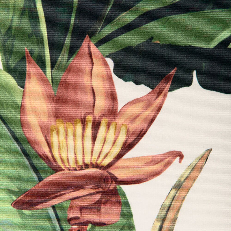 Palmeira - Verde
