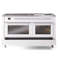 Cuisinière à double combustible ILVE Professional Plus II 60, 8 brûleurs scellés, plaque chauffante-2110857702-2110857710