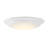 Becklum Glass Flush Mount
