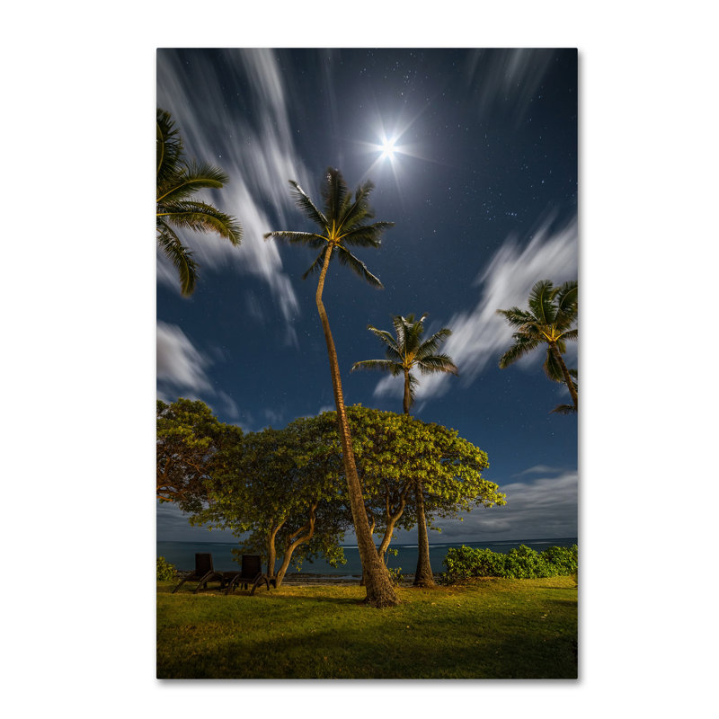 Gold Framed Moonlit Palm Trees Landscape Canvas Art