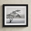 Tree Silhouette by Piet Flour-37872055-37872062