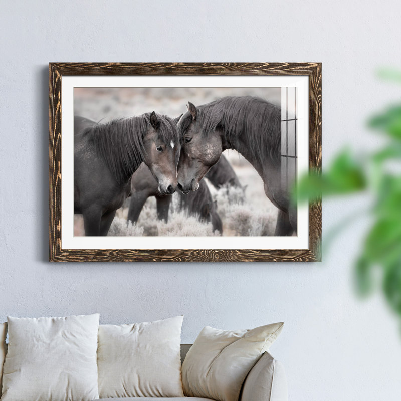 Chevaux sauvages - Photographie avec cadre photo, Encadré de bois de noyer, H 31 po x l 44 po x P 1 po