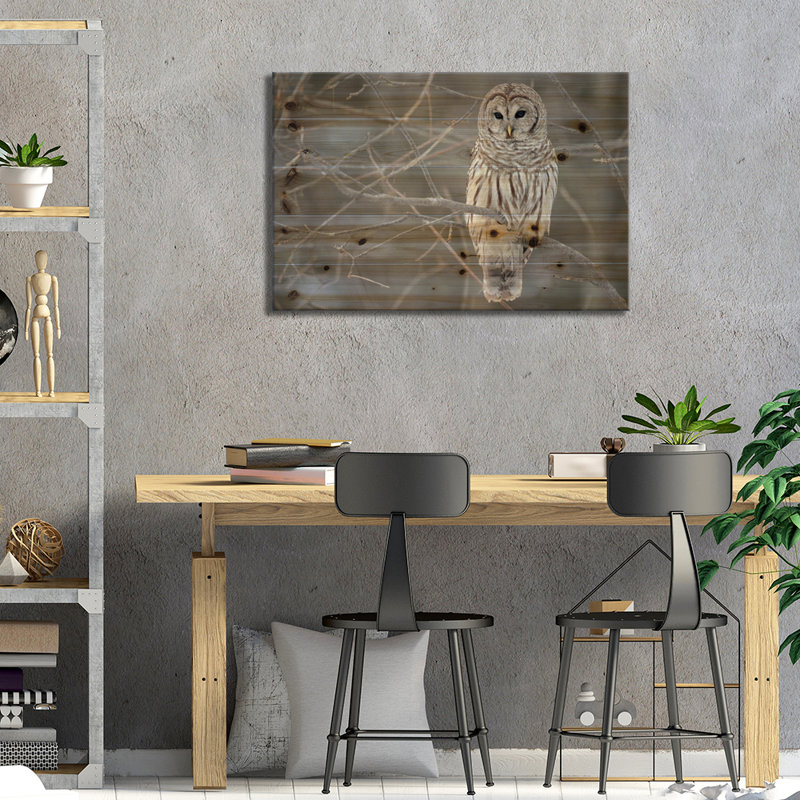 Chouette rayée sur branches - Impression sur bois sans cadre, L 26 po x H 18 po