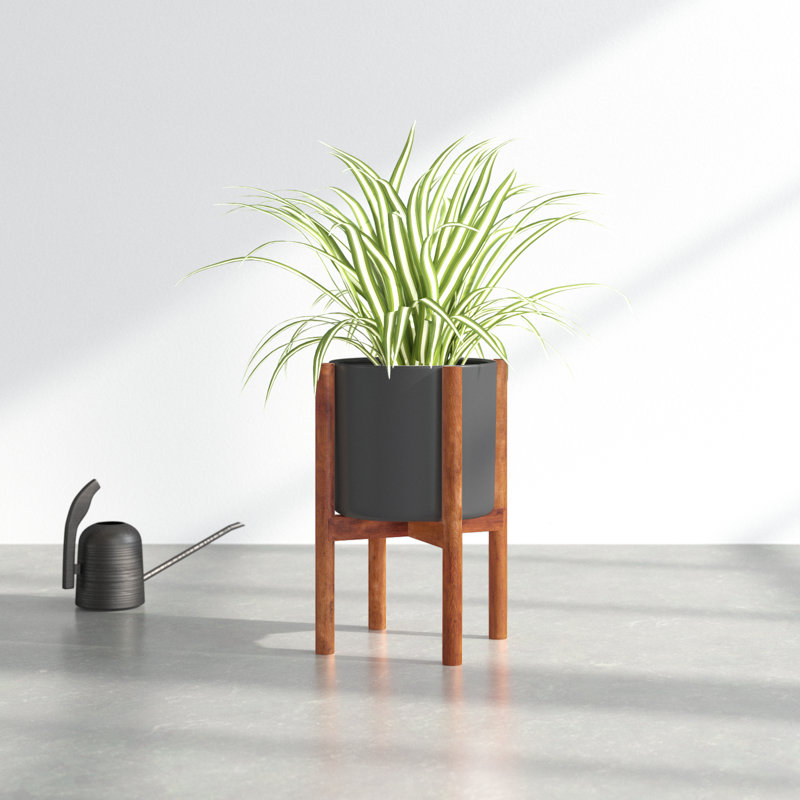 Dominic Pot Planter, Black/Walnut