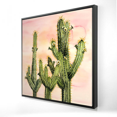«Weberocereus Cactus»