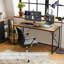 Mytsyk 160Cm W Rectangle Computer Desk-2132685370