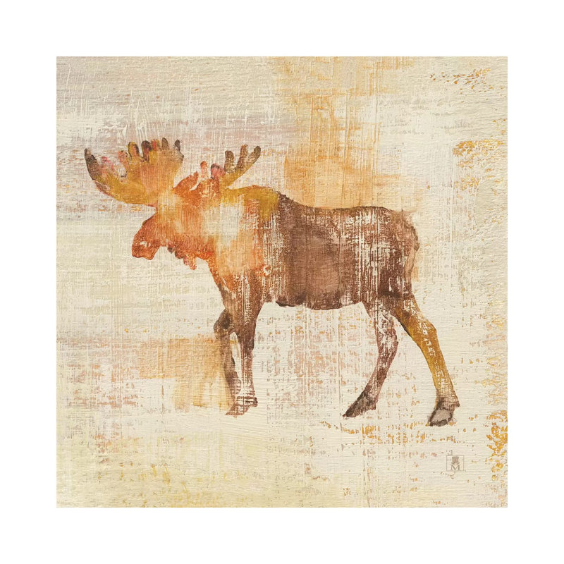 Moose Study by Studio Mousseau - Wrapped Canvas Print, 45.72 cm H x 45.72 cm W x 3.175 cm D