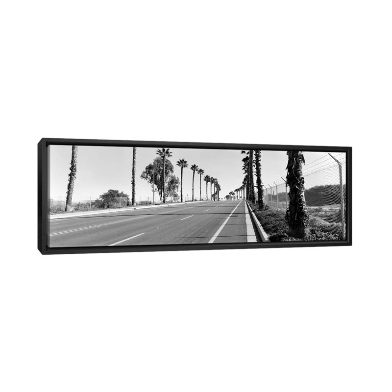 Palmiers le long d'une route, San Diego, Californie, États-Unis - reproduction de photo sur toile, Toile avec cadre noir