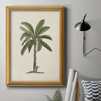 " UA CH British Palms II "