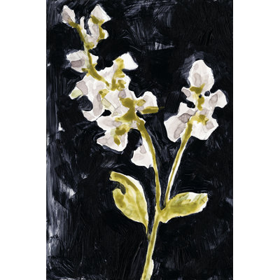 Midnight Phlox I - Wrapped Canvas Print