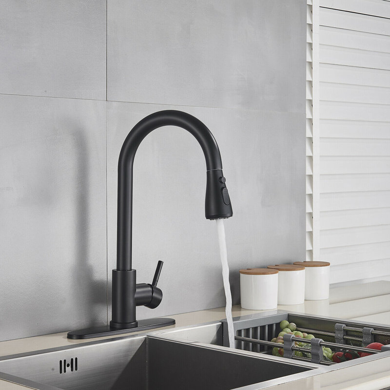 AlenArtWater Pull Down Kitchen Faucet