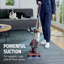 Shark Upright Vacuum