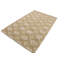 Tapis moderne touffeté à la main à motif de treillis brun 5 x 8 Ardentown