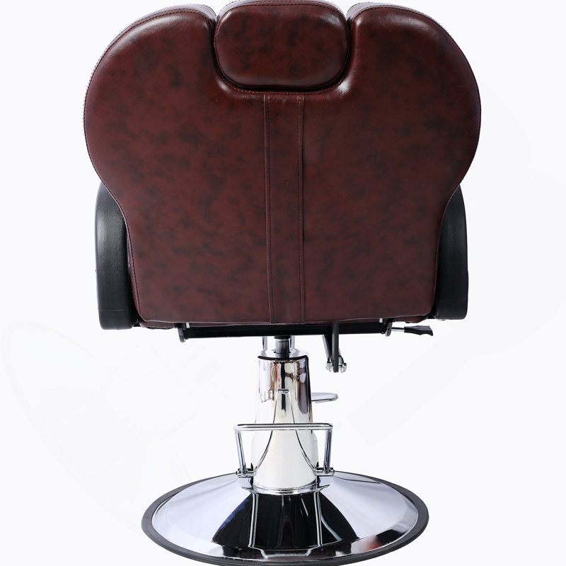 Fauteuil de coiffeur tout usage pour coiffeur pour salon de coiffure, fauteuil de coiffeur hydraulique robuste pour spa, Brun