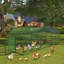 Chicken Coop