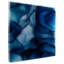 Tony Fey's Beyond The Blue Veil