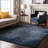 Premium Machine Washable Cerrito AMF565 Blue Rug-109607206