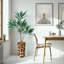 66 plantes-97701030