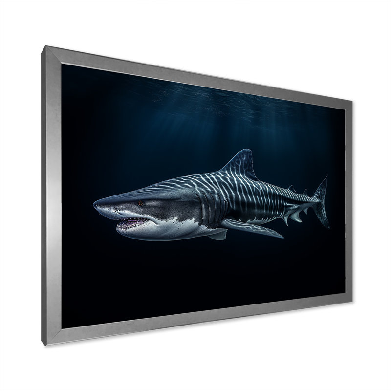 " Tiger Shark Territory II ", Silver Single Picture Framed, 16" H x 32" W x 1" D