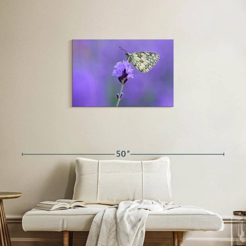 Papillon blanc marbré Brampt, H 20 po x l 30 po