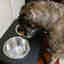 Customer photo 2 of 2