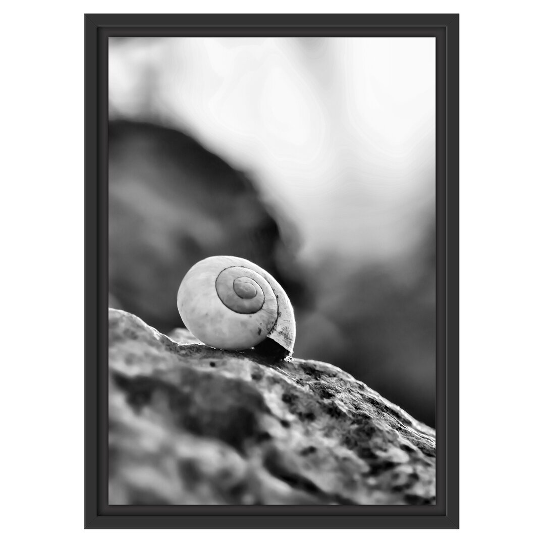 Gerahmtes Wandbild kleine Schnecke auf Stein