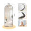Aluminium Arch Mirror-236811281-236811280