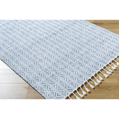 Bhaktivinod Hand Woven Area Rug