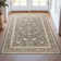 Dyrk Rome Vintage Oriental Persian Pastel Charcoal Brown Rug