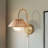 Aminda Gold Plug-in Wall Sconce with Frosted Globe and Rattan Shade